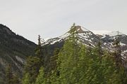 51 - Banff to Icefields - IMG_0971